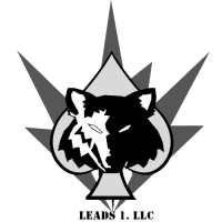 LEADS1LLC